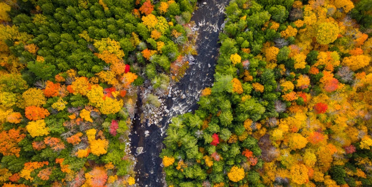 Adirondack Mountains and Eastern Canada, a rail journey with Amtrak Vacations