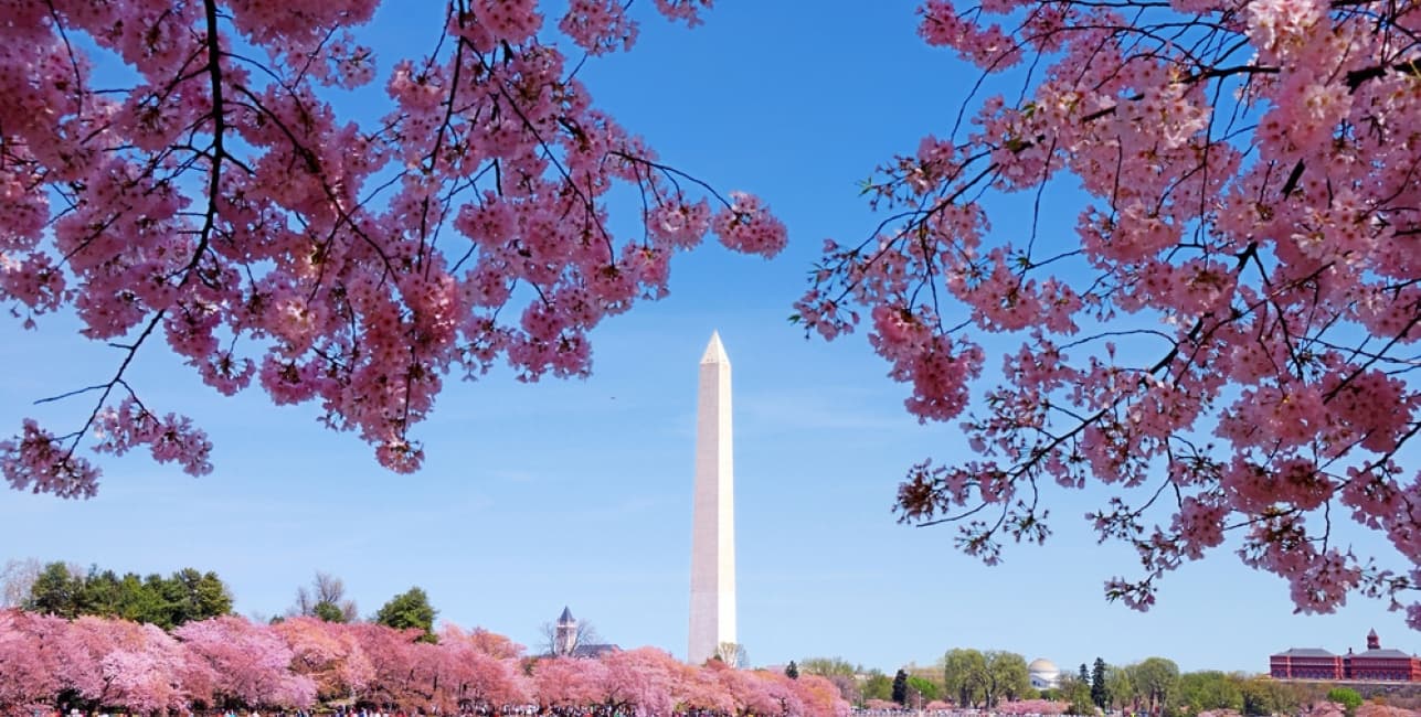 Capital to Capital, a rail journey with Amtrak Vacations