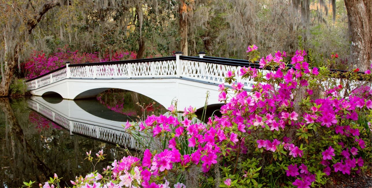Charleston and Savannah, a rail journey with Amtrak Vacations