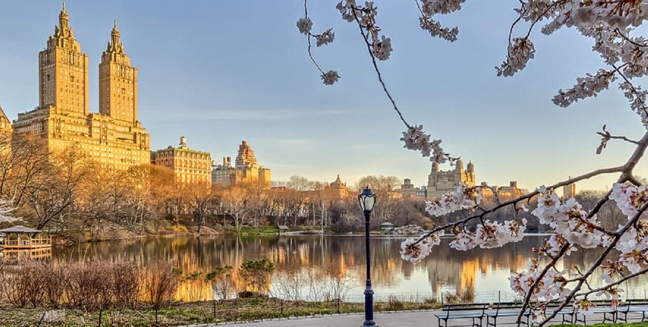 Essential Spirit of America, a rail journey with Amtrak Vacations