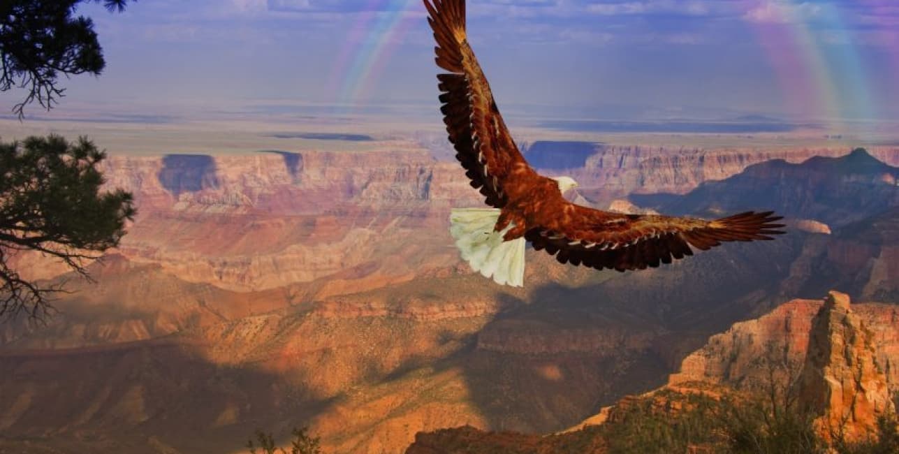 Grand Canyon Discovery Roundtrip from Washington, D.C., a rail journey with Amtrak Vacations