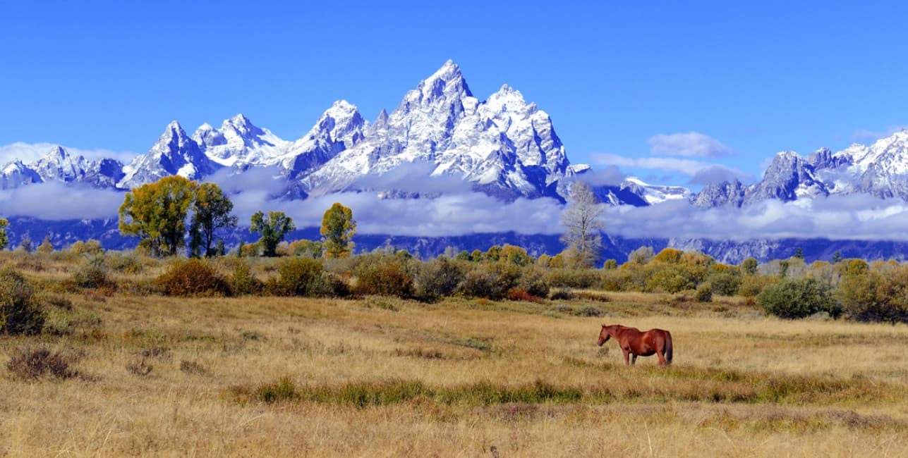 Grand Teton National Park Adventure, a rail journey with Amtrak Vacations