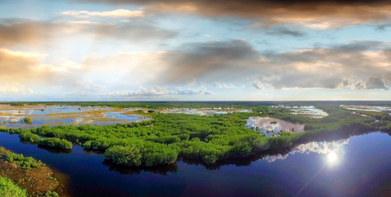 Miami and the Everglades Getaway Roundtrip from Washington, D.C., a rail journey with Amtrak Vacations