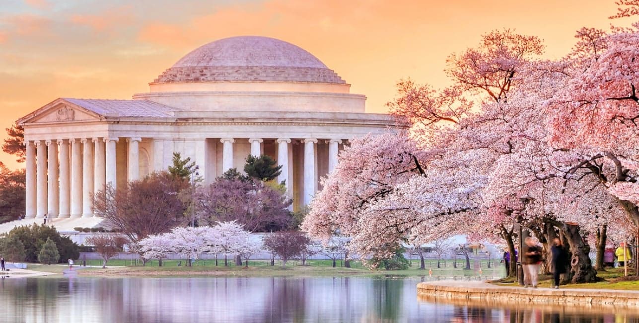 New York City and Washington, D.C. from Toronto, a rail journey with Amtrak Vacations