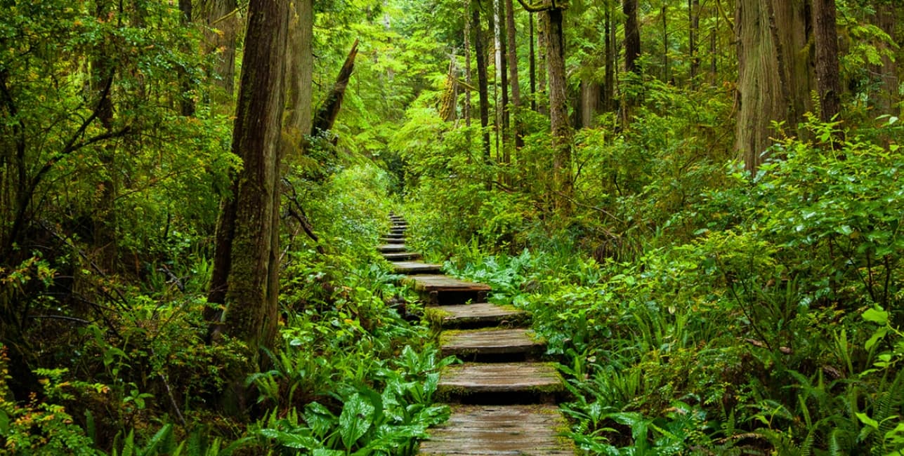 Seattle and Olympic National Park Getaway, a rail journey with Amtrak Vacations