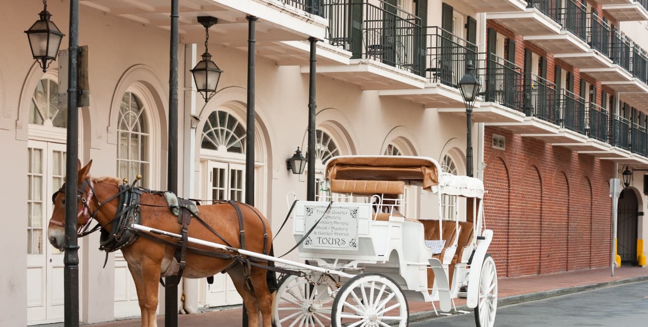 Skyline to Soul: A Journey Through Culture, a rail journey with Amtrak Vacations