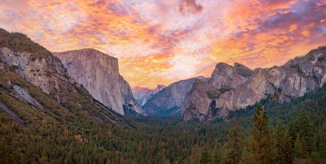 Yellowstone to Yosemite featuring Canyon Spirit, a rail journey with Amtrak Vacations