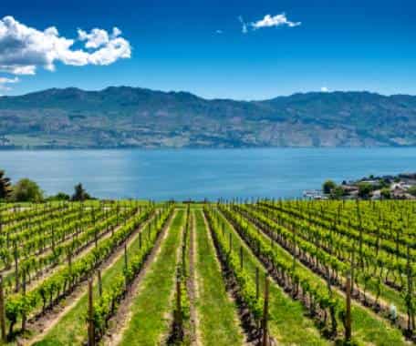 Snowy Peaks to Wine Vines and Sunny Beaches Rail Explorer, a rail journey with Anderson Vacations