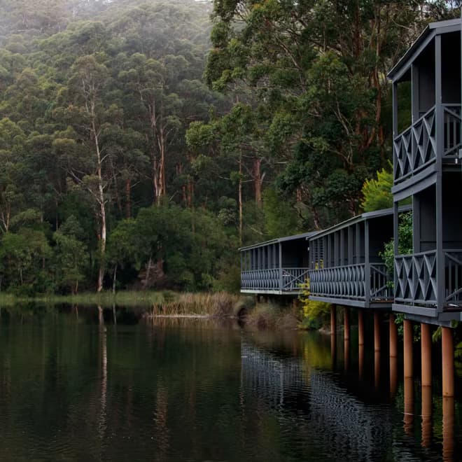 Margaret River and Karri Valley Explorer with Indian Pacific Rail, a rail journey with APT (APT Travel Group)