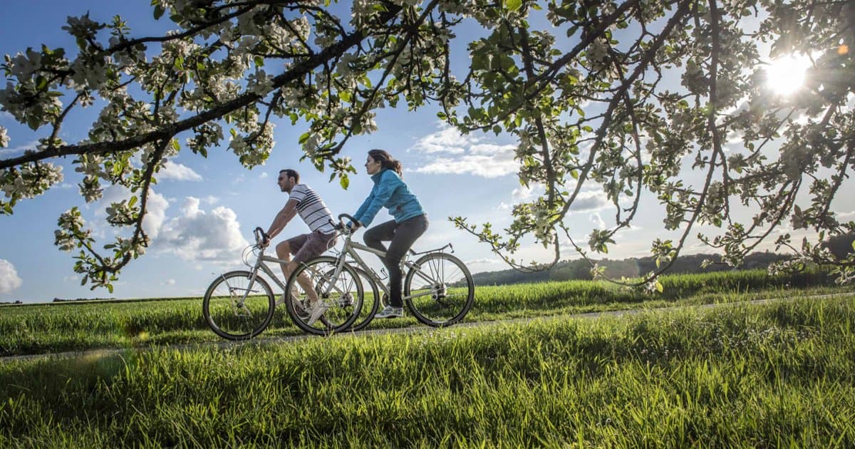 Bike & Cruise Loire Valley, Briare - Nevers, a rail journey with Authentic Europe