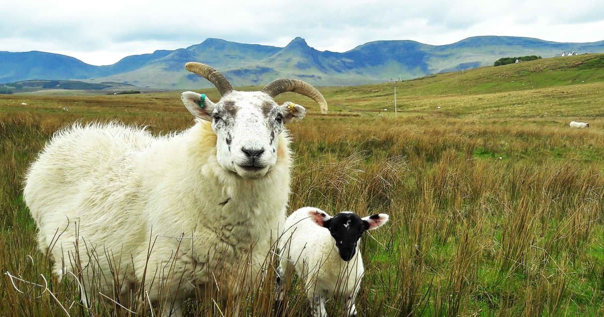 Edinburgh & the Scottish Highlands, a rail journey with Authentic Europe