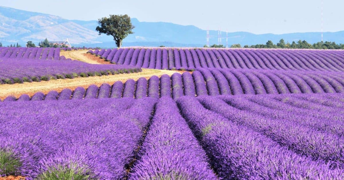 Paris, Provence & the French Riviera, a rail journey with Authentic Europe