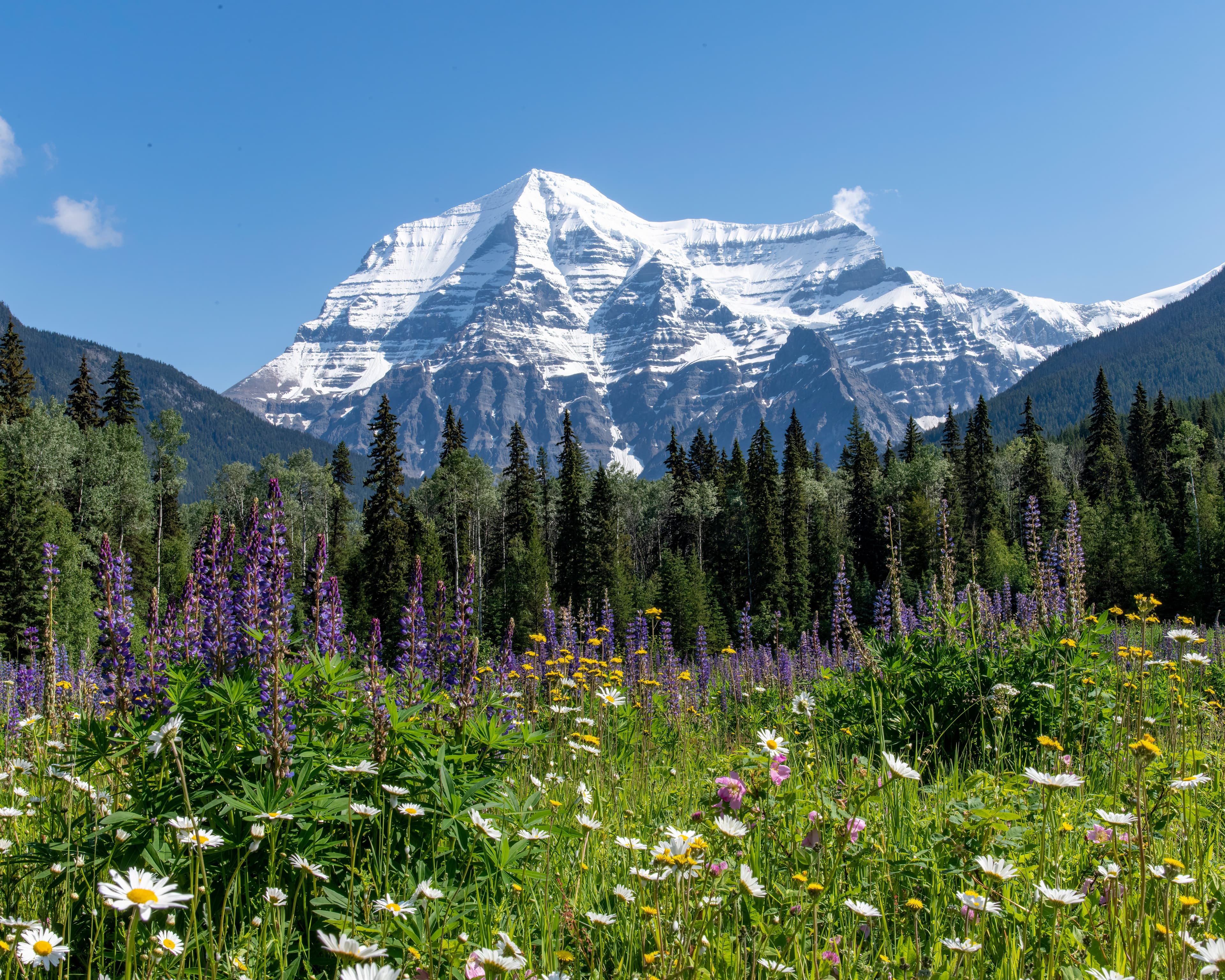 Clayoquot Wilderness Lodge & Canadian Rockies by Rail, Cox & Kings