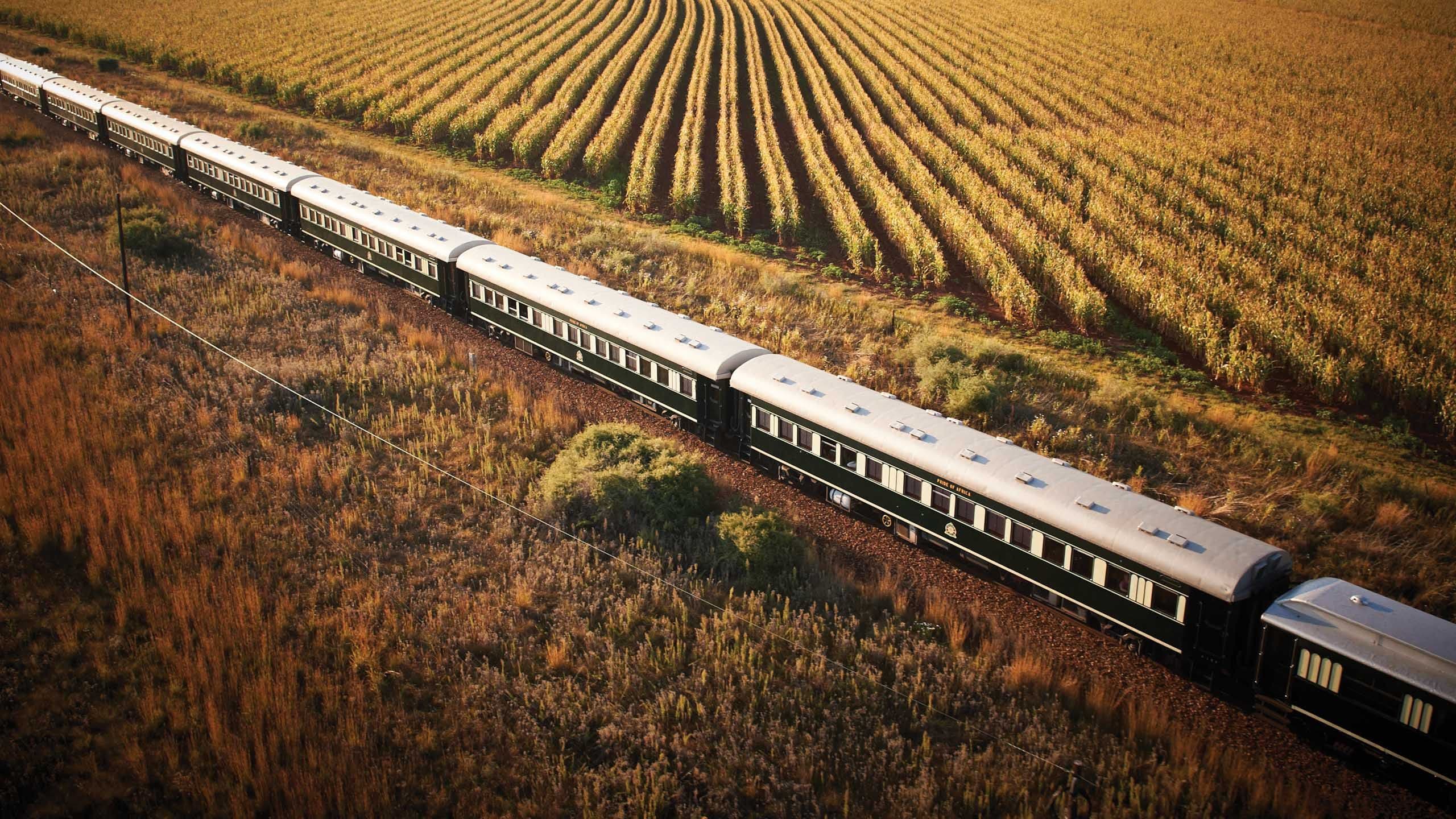 Rovos Rail: Southern Cross Adventure, a rail journey with Cox & Kings
