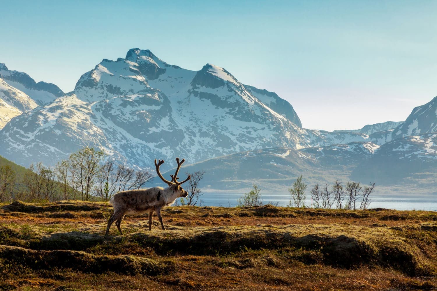 Lapland Adventure: 4 Nights, Euroventure