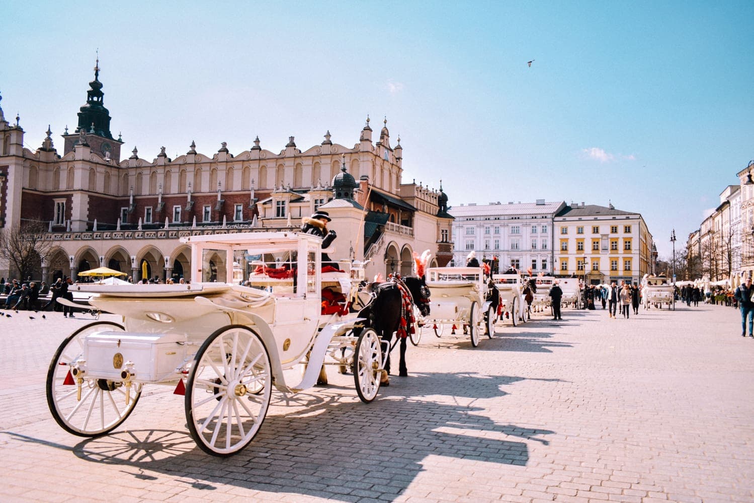 The Pan-European: 8 Weeks, Euroventure