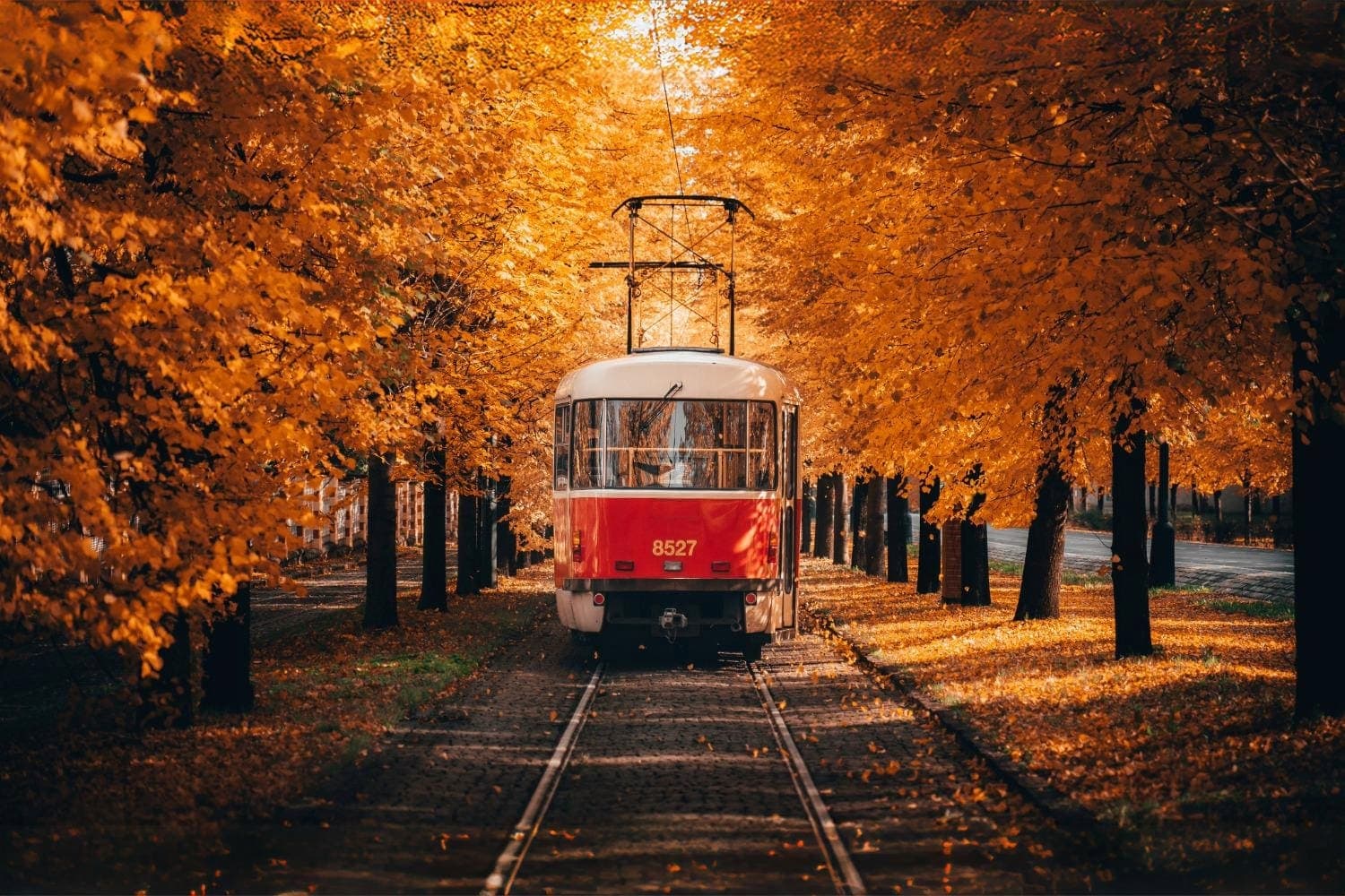 Prague, Vienna & Budapest: 1 Week, Euroventure
