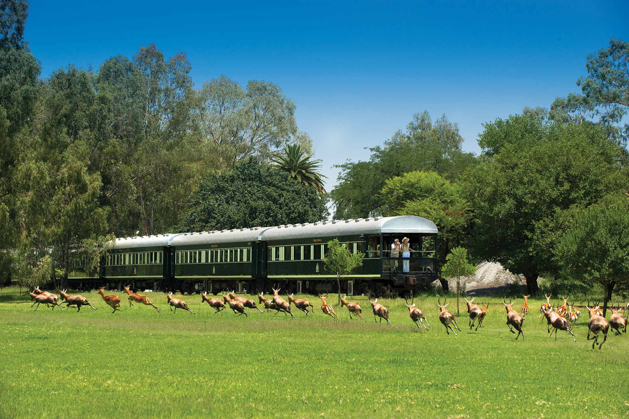 Rovos Pride of Africa, Fred. Holidays (Fred. Rail Journeys)