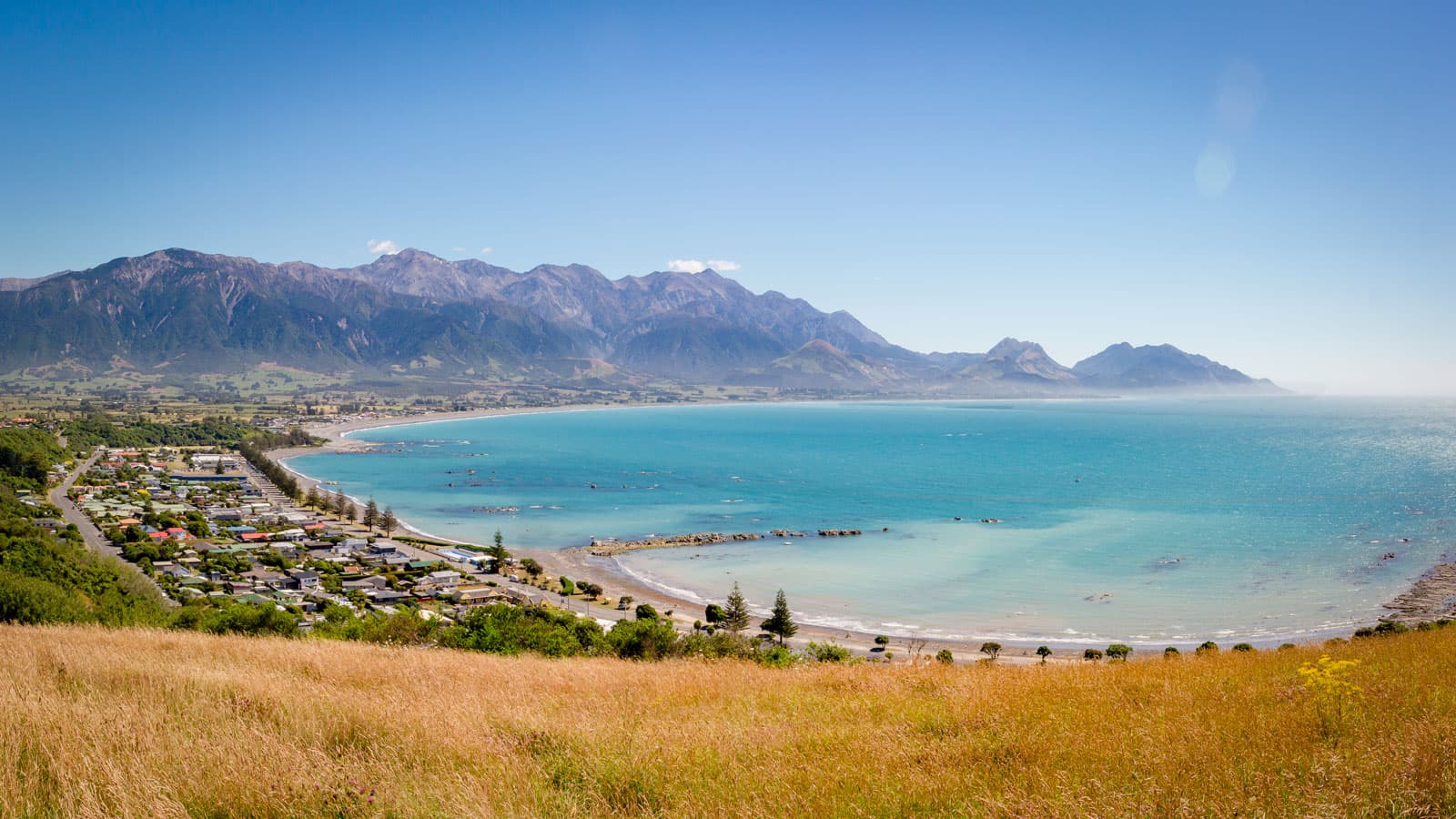 Classic | Coastal Highlights Tour, a rail journey with Great Journeys New Zealand (KiwiRail)