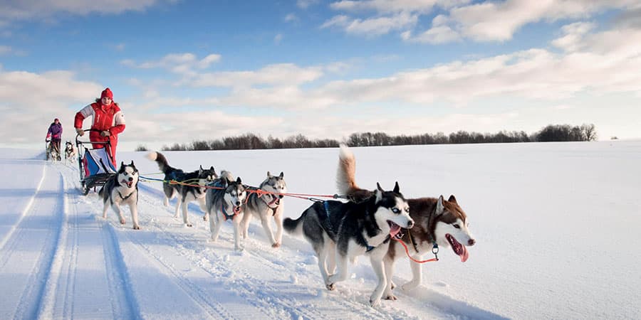 Huskies & the Northern Lights, Great Rail Journeys