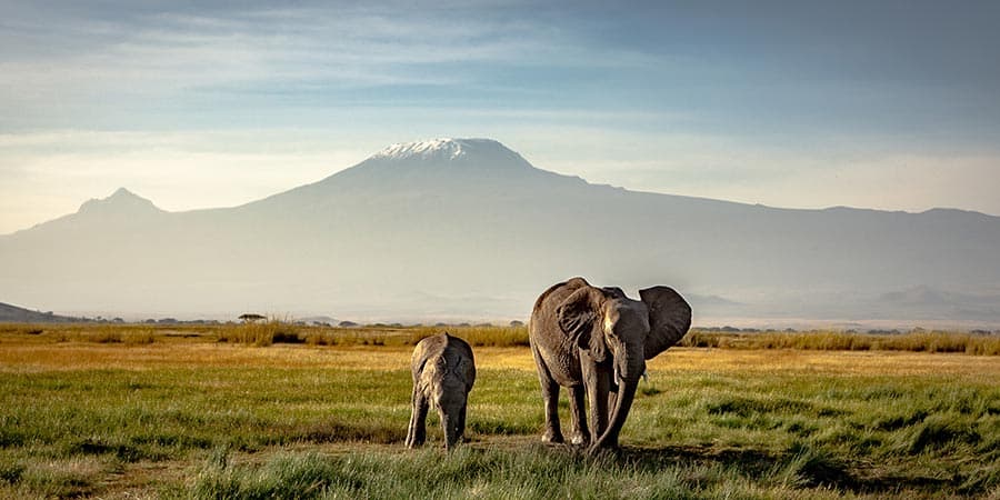 Grand Safari Tour of Kenya, Great Rail Journeys