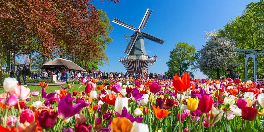 Keukenhof Tulips, Canals & Amsterdam in Springtime, Great Rail Journeys
