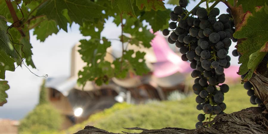 Northern Spain: Catalonia, Rioja & Basque Country, Great Rail Journeys