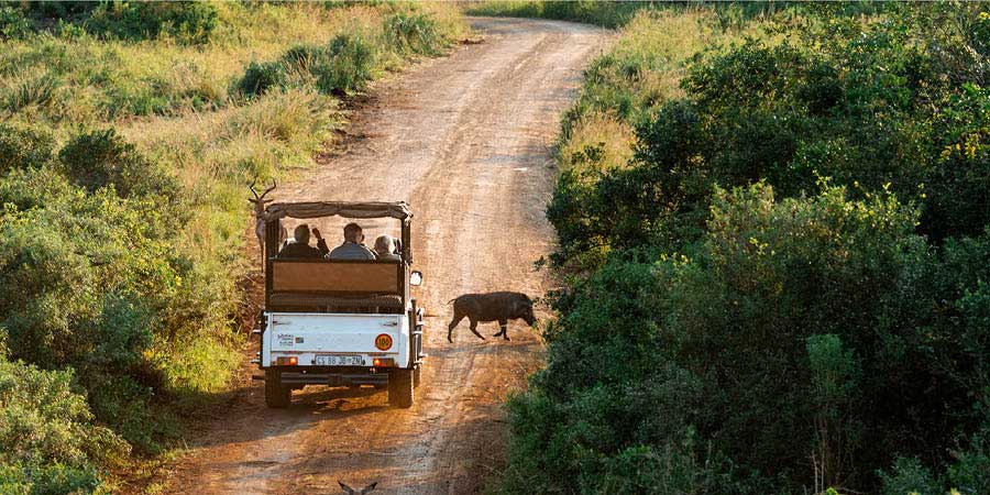 Treasures of Kenya, Great Rail Journeys