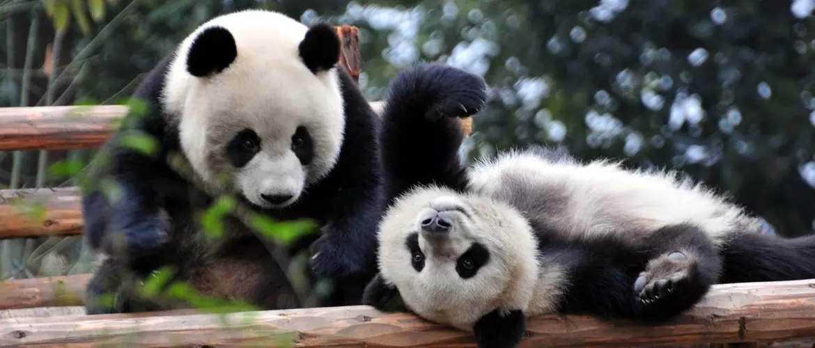 9 Days Chengdu Xining Lhasa Train Tour, Great Tibet Tour
