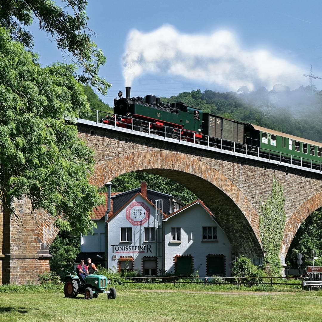 Little Trains of the Romantic Rhine Valley, Leger Holidays