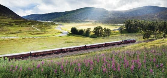 Royal Scotsman: Classic Splendours, lernidee.de