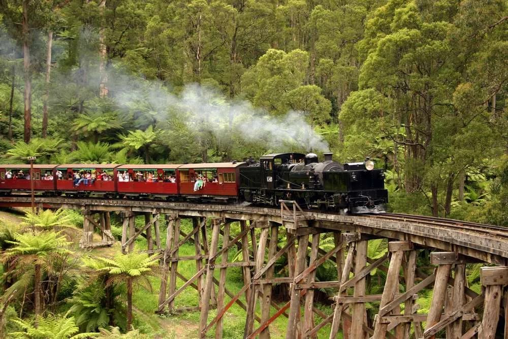 Great Australian Steam Spectacular, PTG Tours