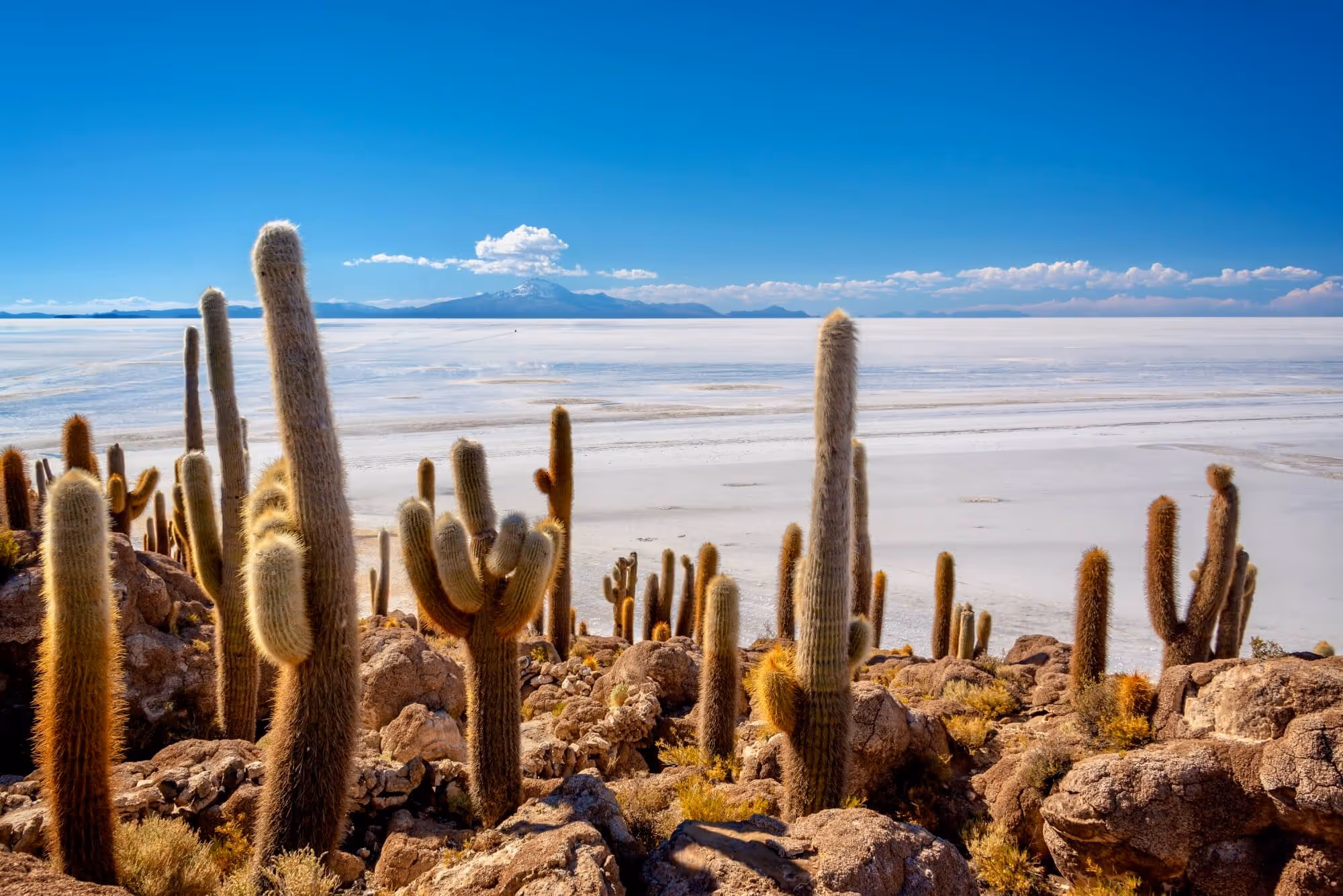 Buenos Aires to Lima: An Andean Expedition, Rail South America