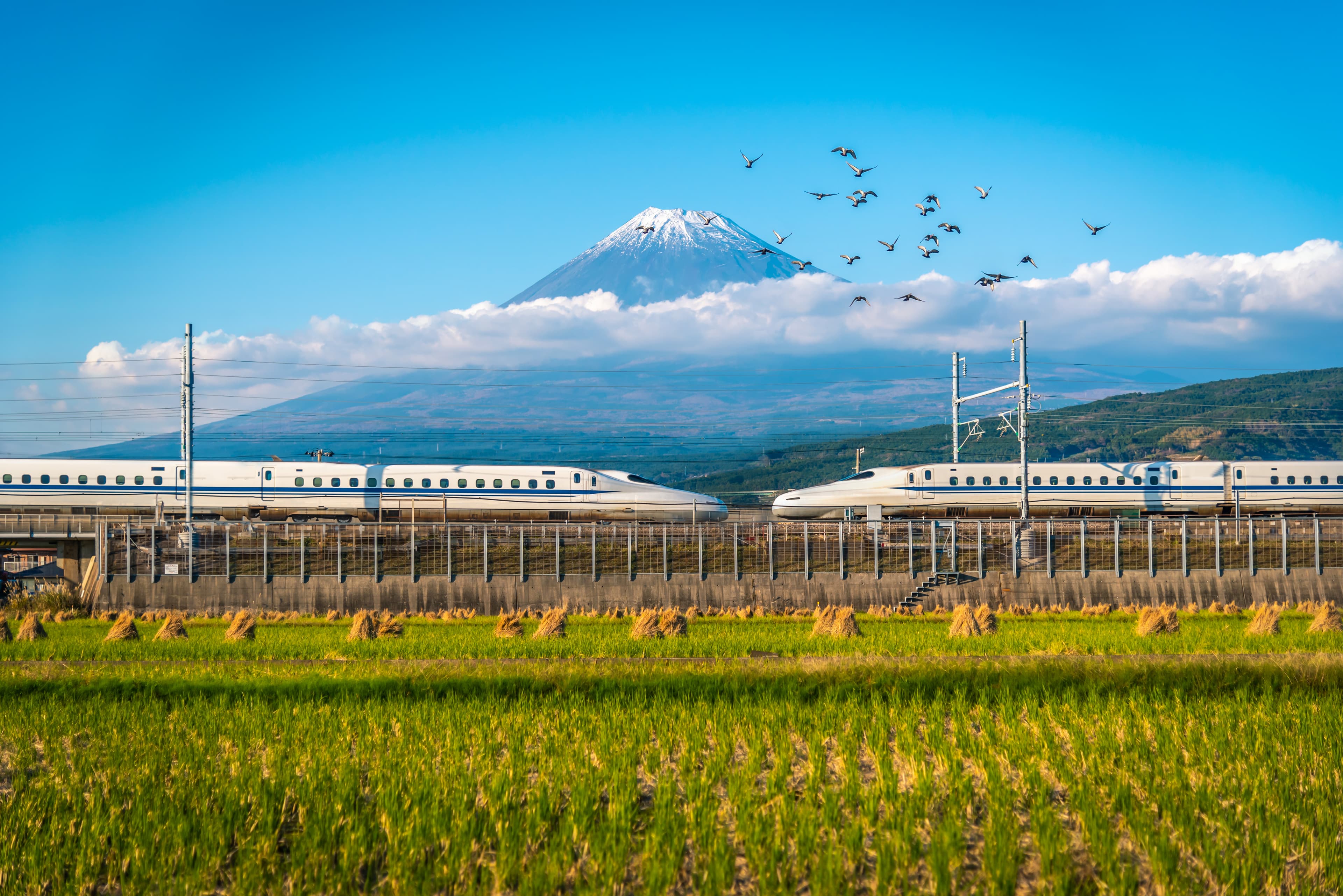 Japan by Rail: Honshu Autumn Colours by Bullet Train, Railway Adventures