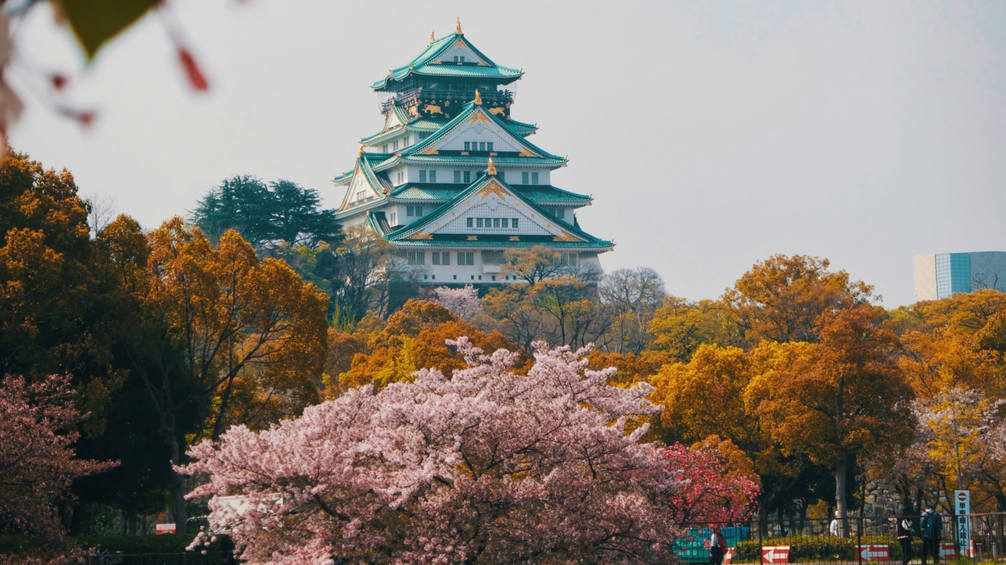 Southern Islands of Japan by Rail, Railway Adventures