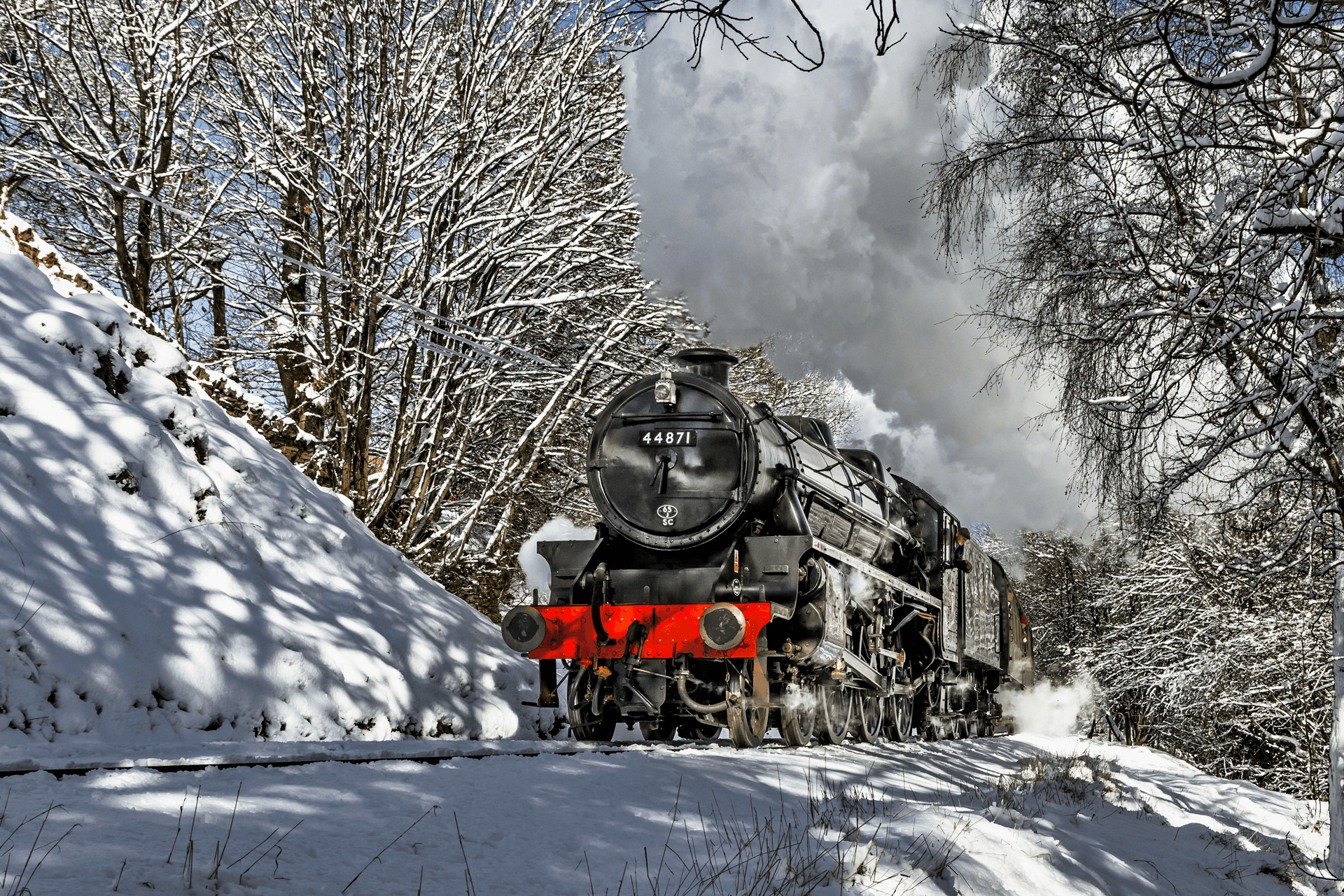 The Christmas White Rose, The Railway Touring Company