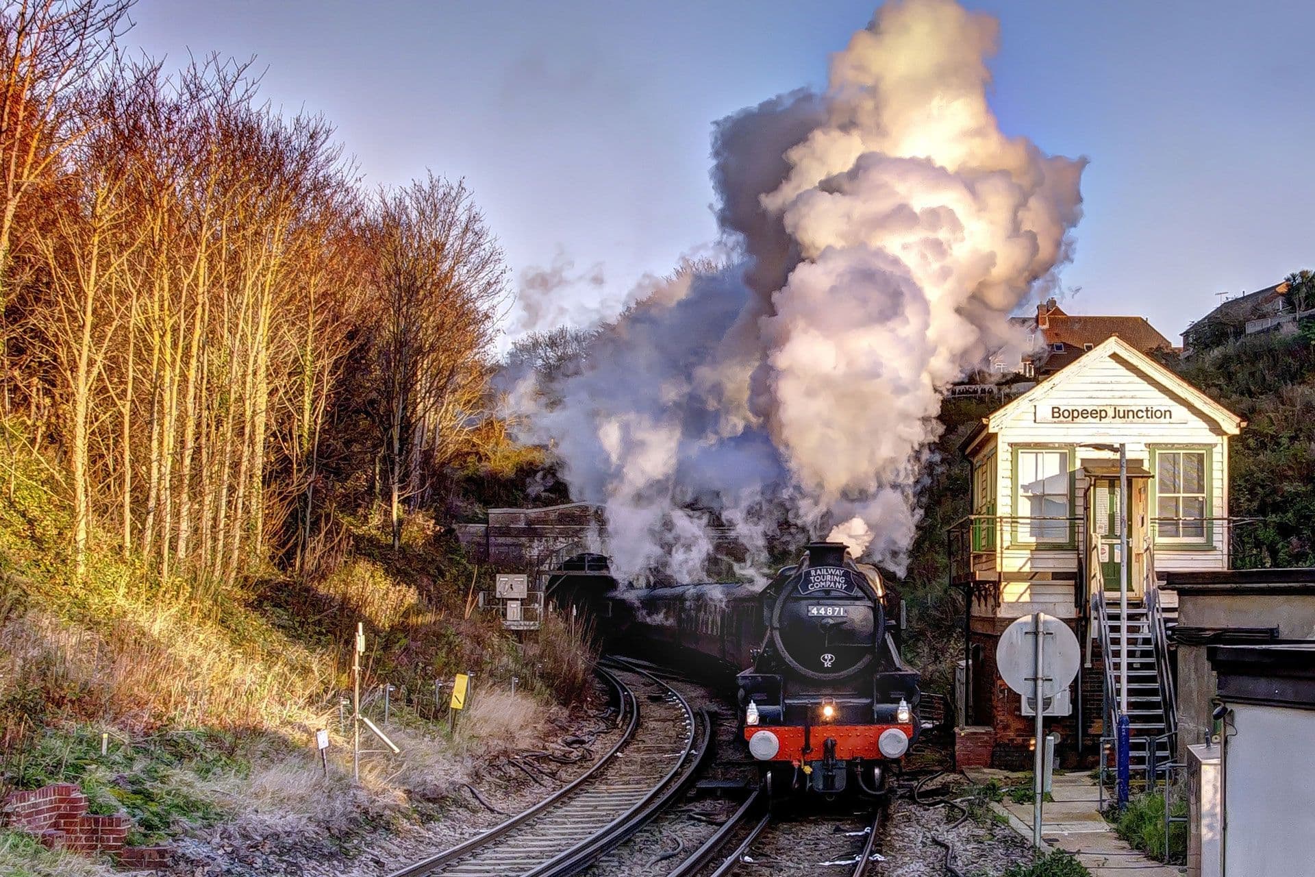 The Christmas White Rose, The Railway Touring Company
