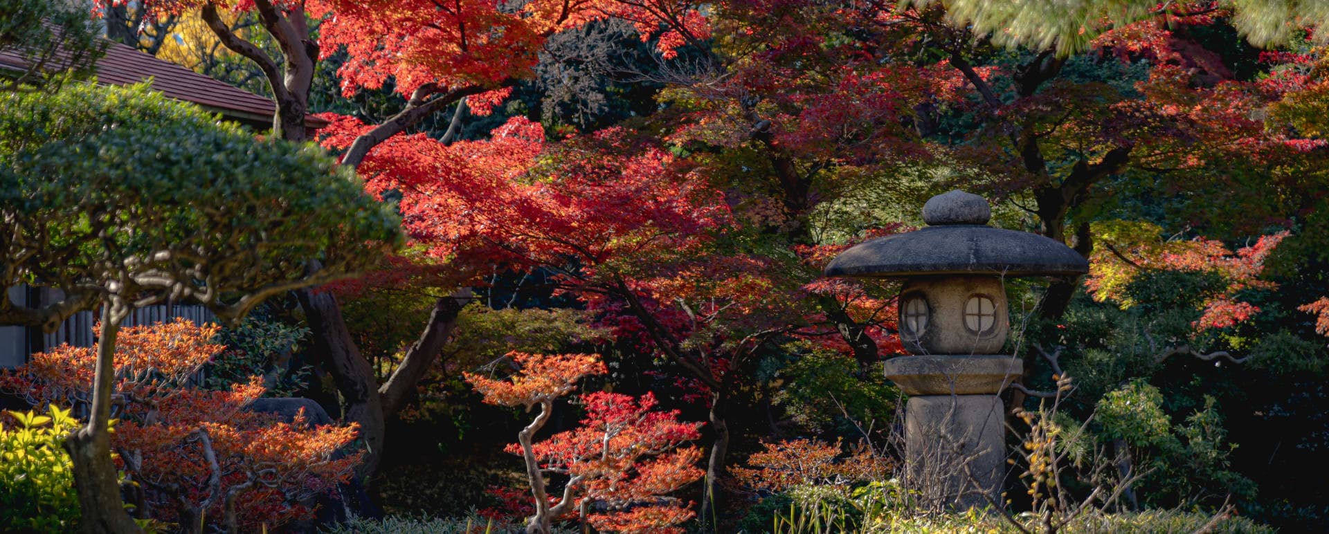 Japan's Golden Route by Rail: Cruise Extension, Scott Dunn