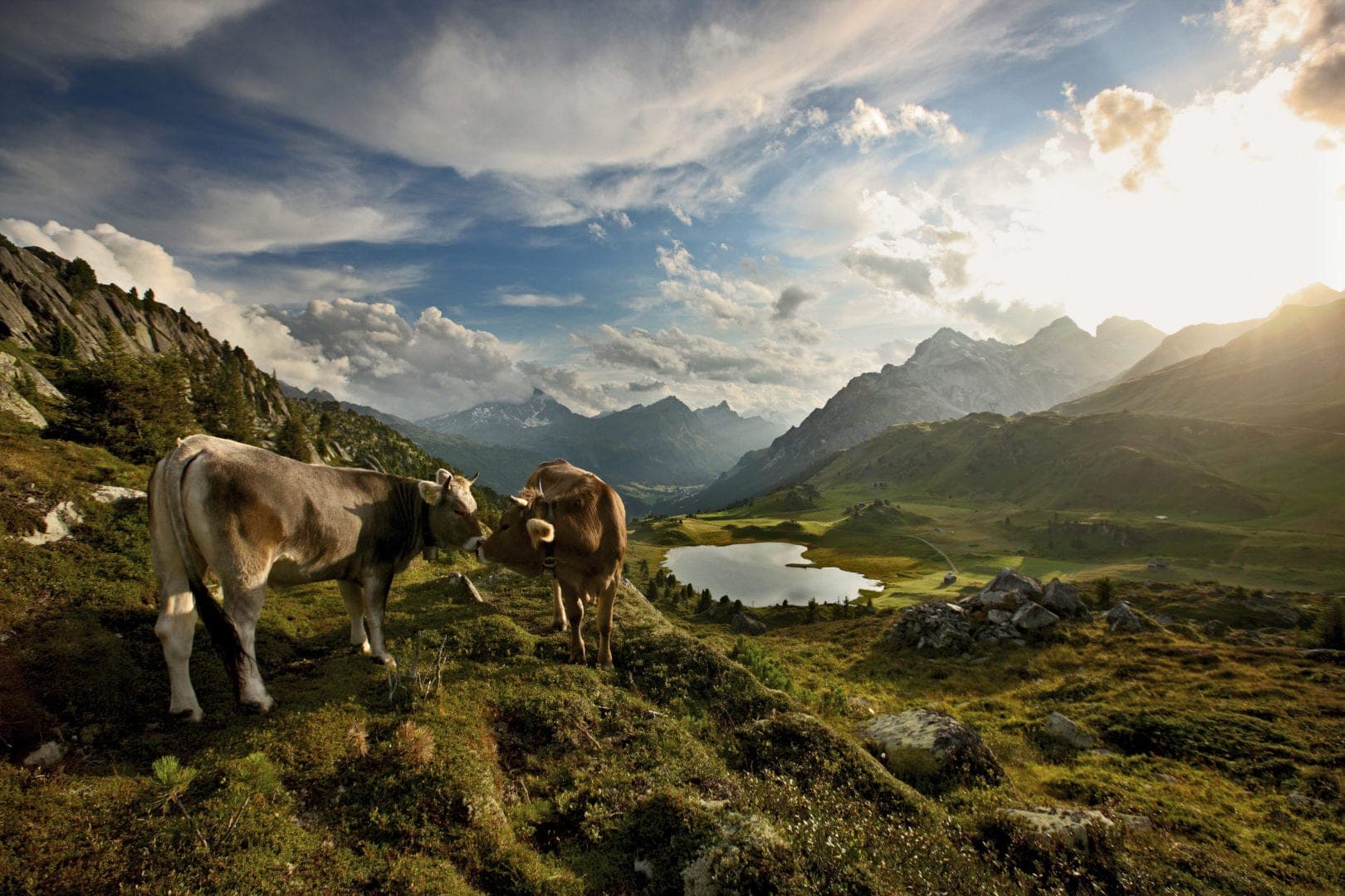 Grand Train Tour of Switzerland, Tailor Made Rail