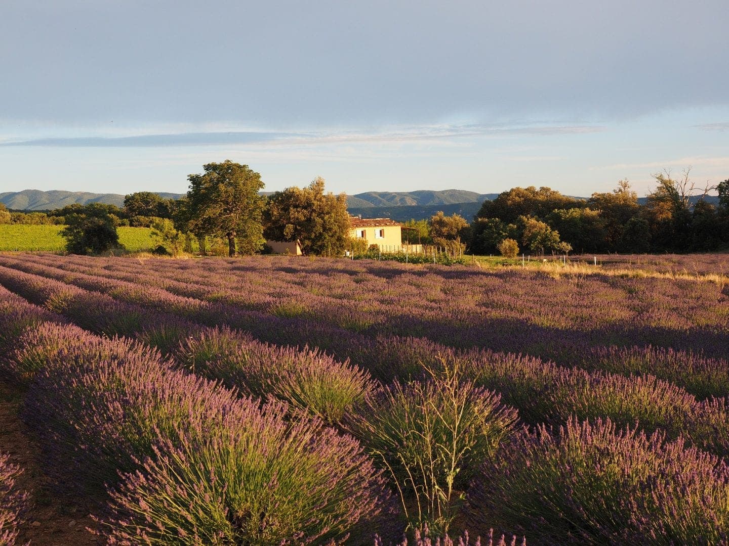 Provence in Detail, Tailor Made Rail