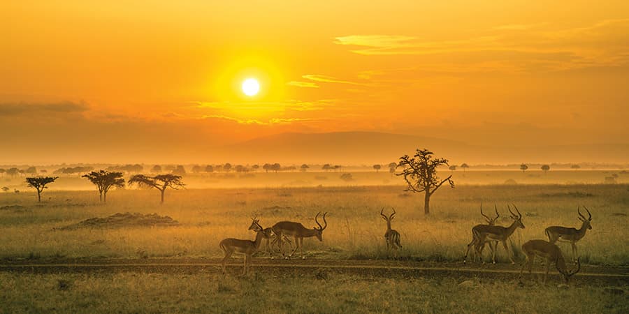Grand Safari Tour of Kenya, Vacations By Rail