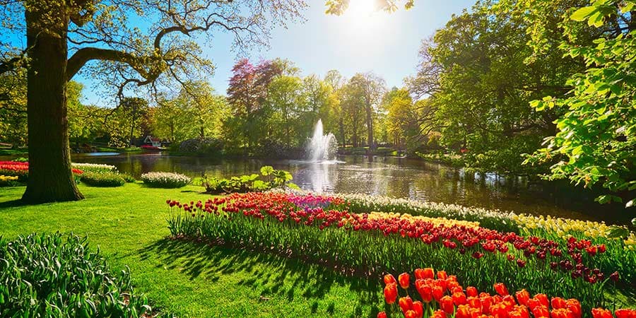 Springtime Tulips Cruise: Holland & Belgium, Vacations By Rail