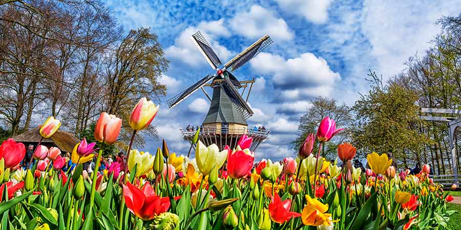 Springtime Tulips & Keukenhof Gardens, Vacations By Rail