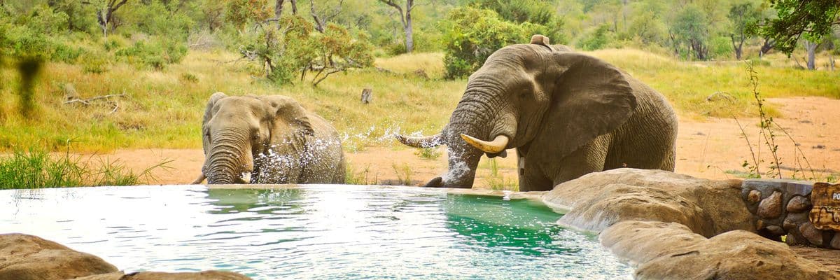 Classic Cape, Blue Train and Kruger Safari, Wexas Travel